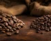 الفرق بين الأرابيكا والروبوستا .. إزاي تختار نوع البن الأنسب لمزاجك؟